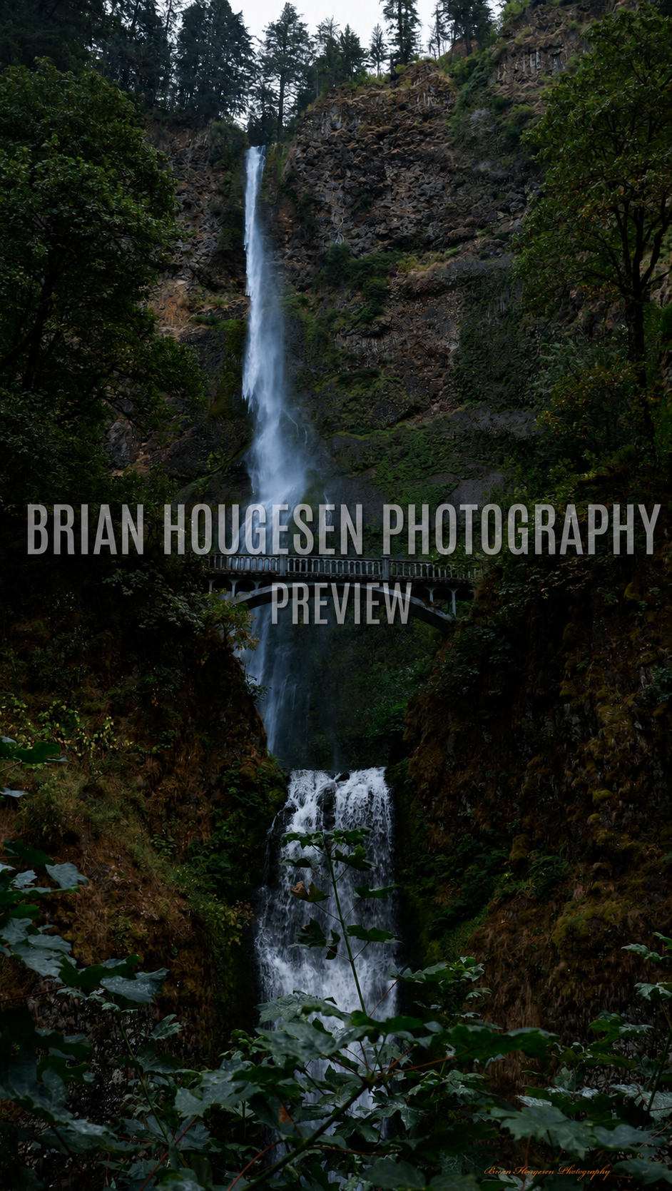 Multnomah Falls and Benson Bridge — Printable Oregon Photography (Digital Download)