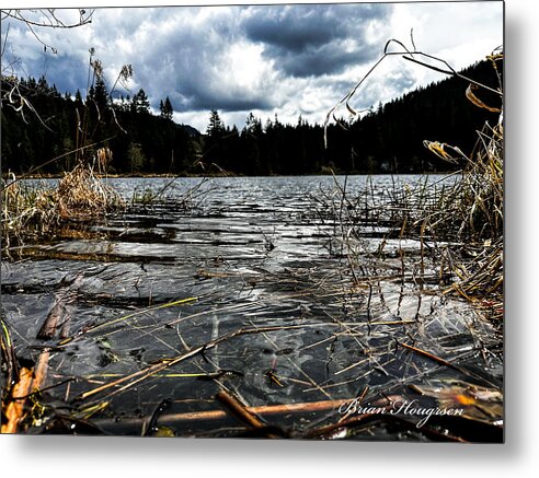 At the park 1 - Metal Print
