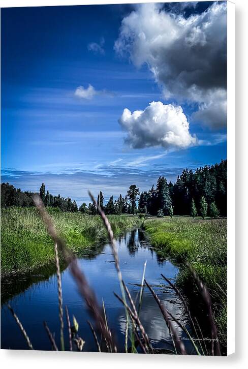 Reflection 1 - Canvas Print