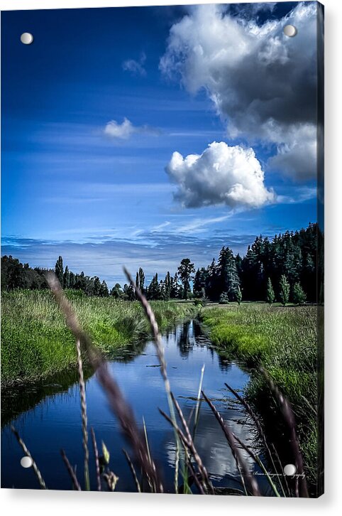 Reflection 1 - Acrylic Print