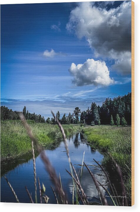 Reflection 1 - Wood Print