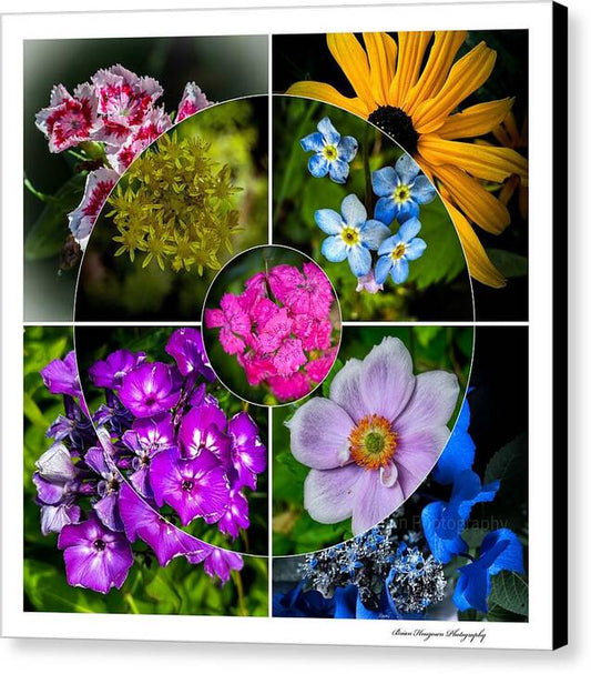 Flowers 2 - Canvas Print
