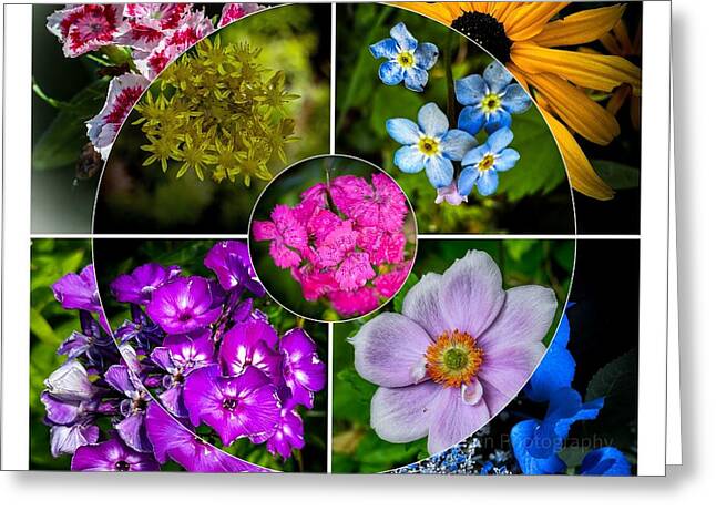Flowers 2 - Greeting Card