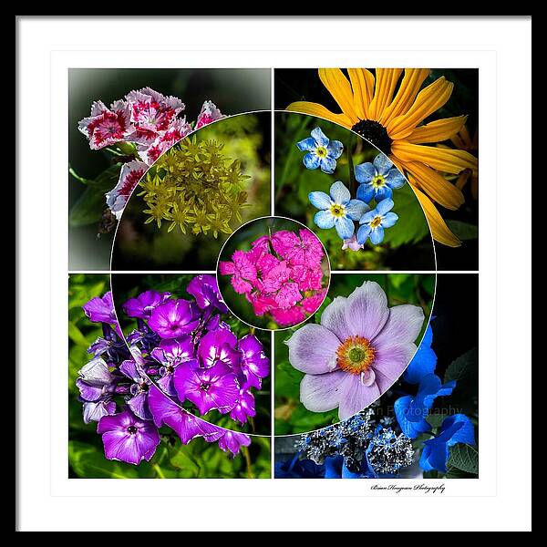 Flowers 2 - Framed Print