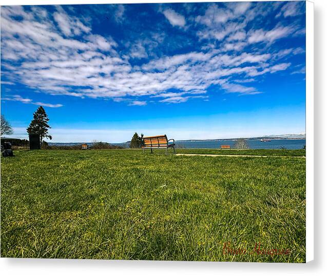 Park 2 - Canvas Print
