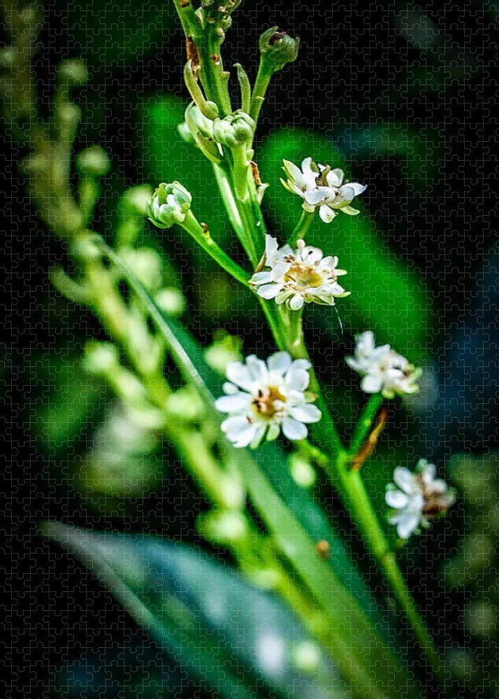 Flowers 3 - Puzzle