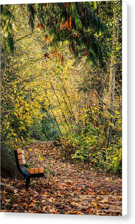 Autim walk - Canvas Print