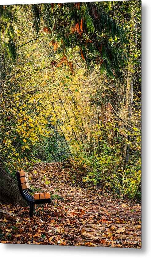 Autim walk - Metal Print