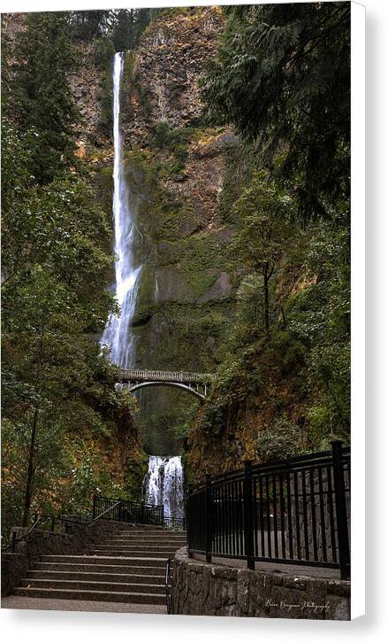 Different view Multnomah Falls - Canvas Print