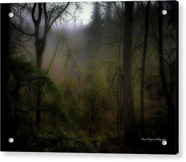Fog - Acrylic Print
