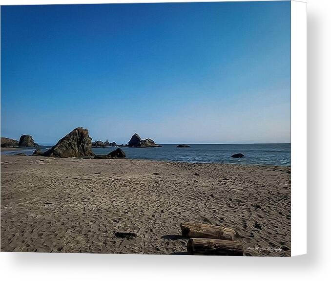Walk on the beach 1 - Canvas Print