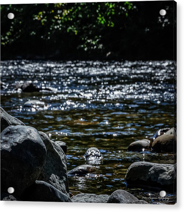 Water ways - Acrylic Print