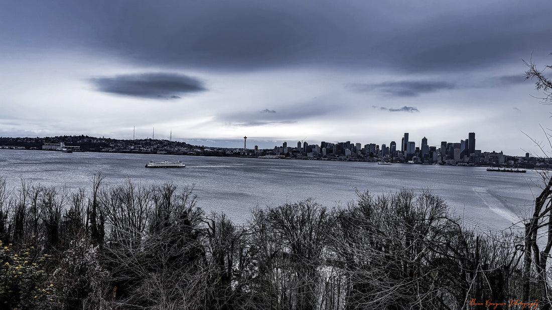 Winter resilience photograph by Brian Hougesen