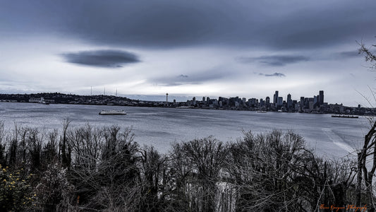 Winter resilience photograph by Brian Hougesen