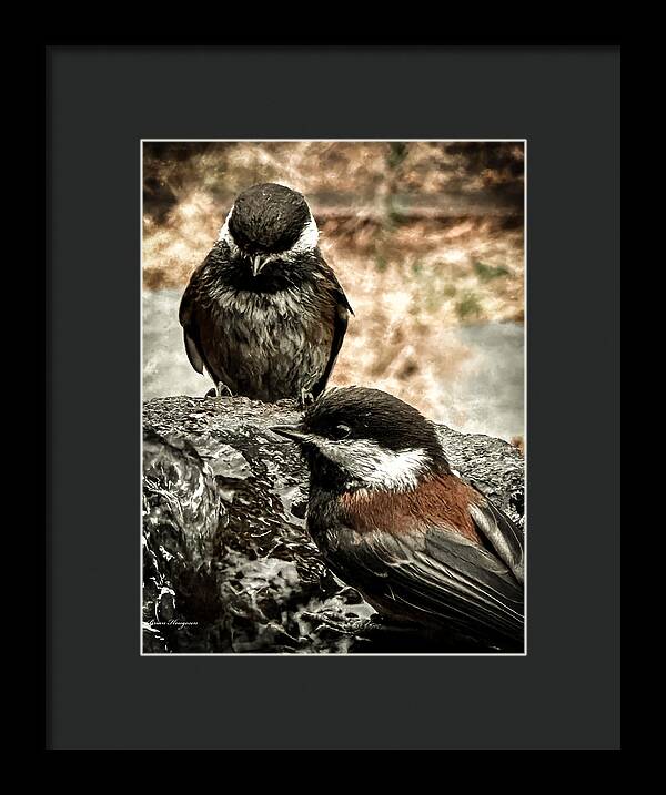 Wildlife