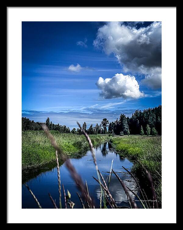 Reflection  1 - Framed Print