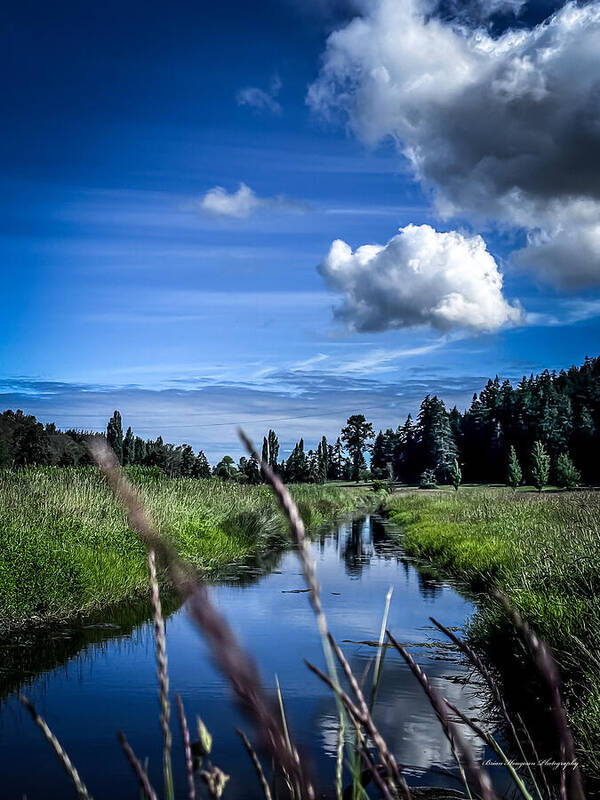 Reflection  1 - Art Print