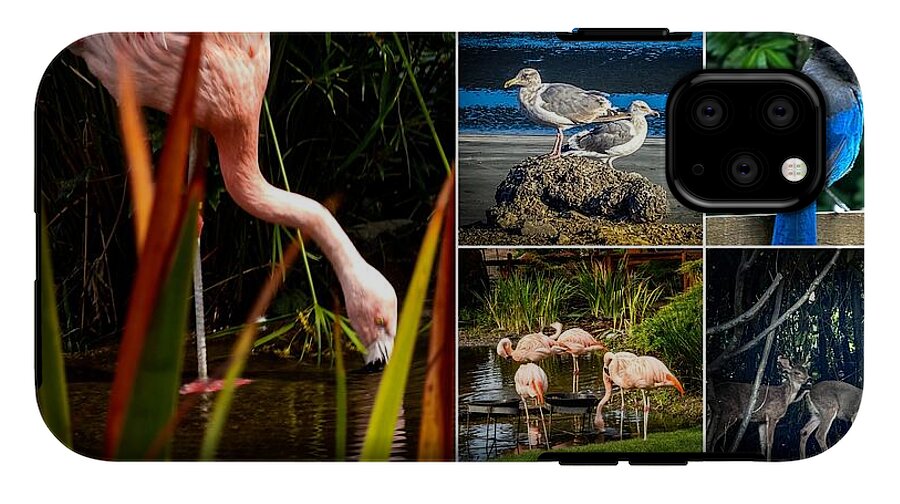 Wild life  1 - Phone Case