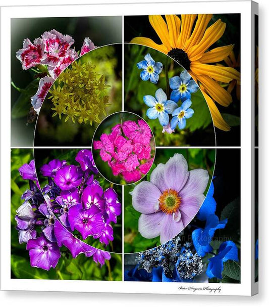 Flowers  2 - Canvas Print