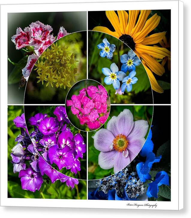 Flowers  2 - Canvas Print