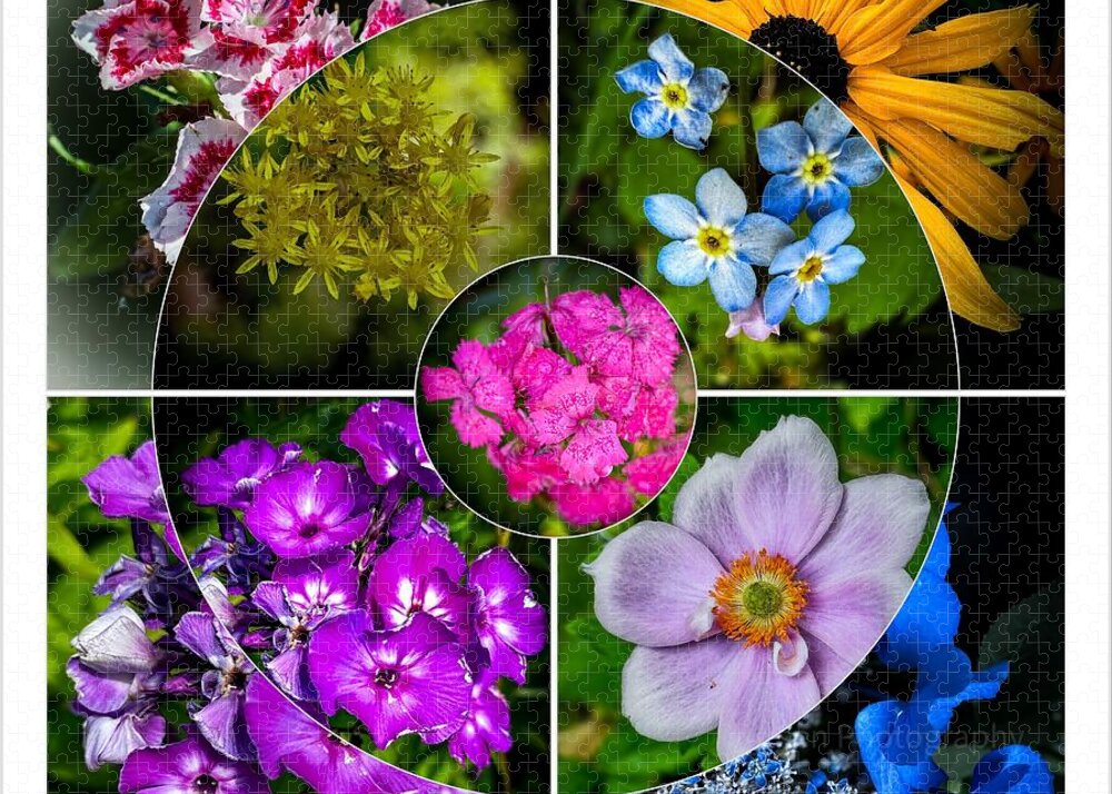 Flowers  2 - Puzzle