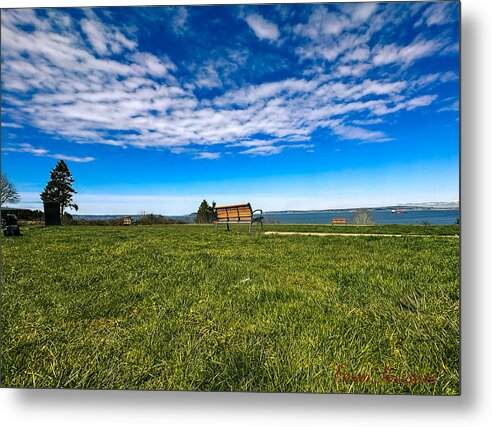 Park  2 - Metal Print