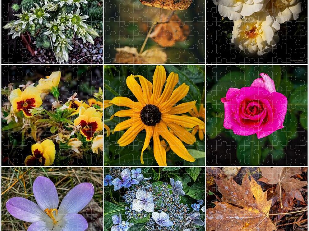 Flowers 5 - Puzzle