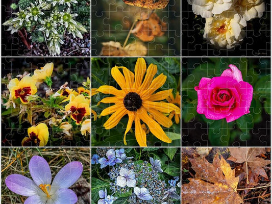 Flowers 5 - Puzzle