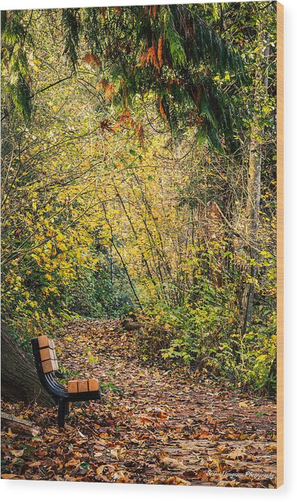 Autim  walk - Wood Print