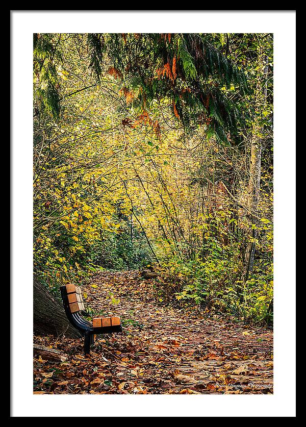 Autim  walk - Framed Print