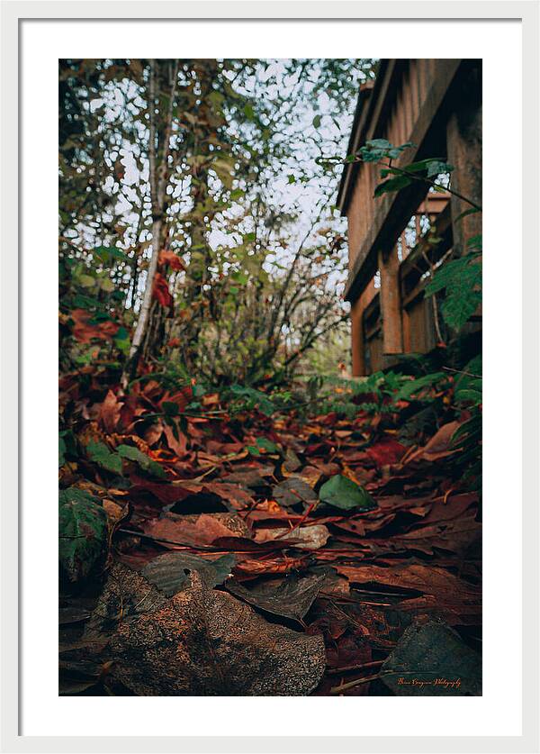 Autum leaves - Framed Print