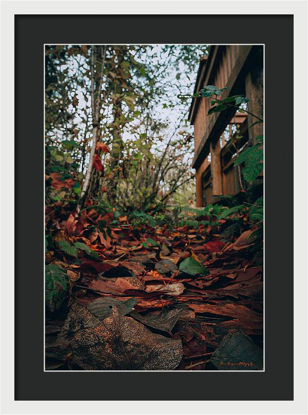 Autum leaves - Framed Print
