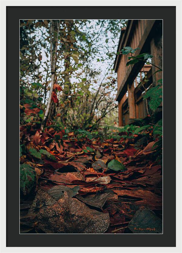 Autum leaves - Framed Print