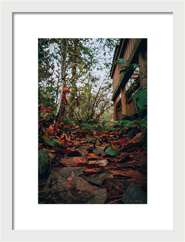 Autum leaves - Framed Print