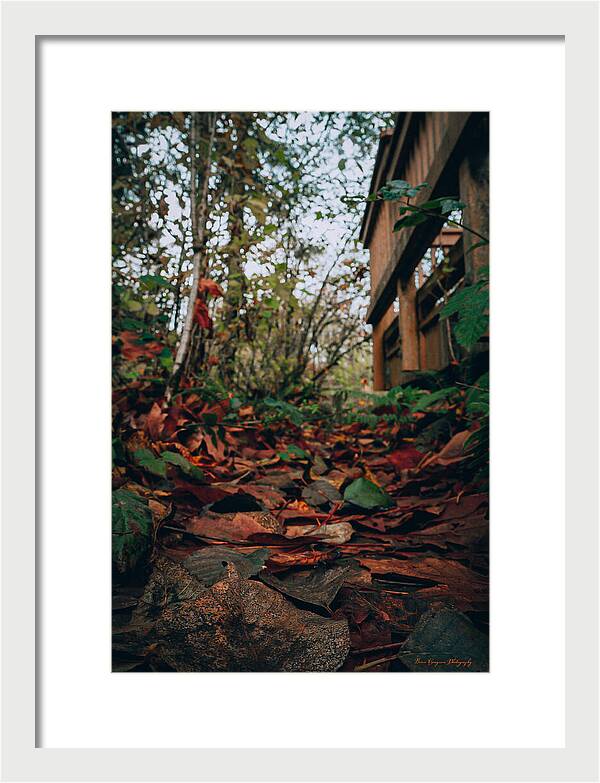 Autum leaves - Framed Print