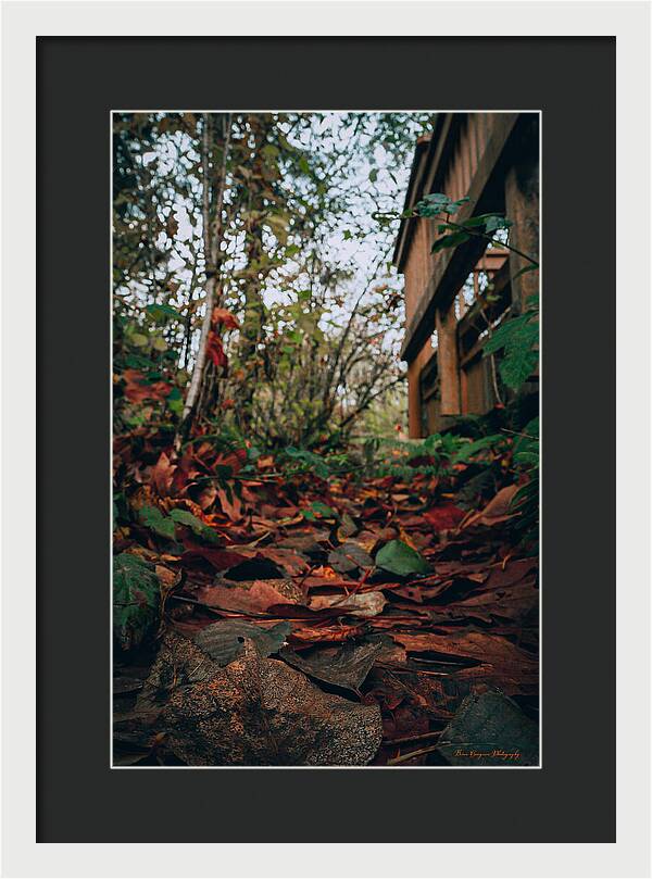 Autum leaves - Framed Print