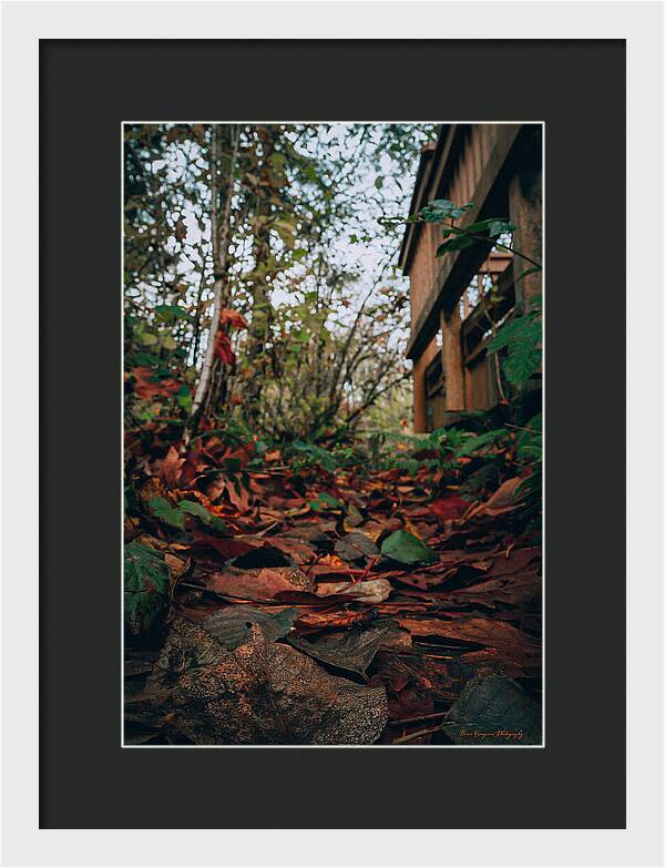 Autum leaves - Framed Print