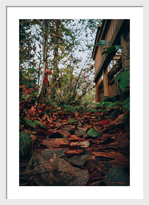 Autum leaves - Framed Print