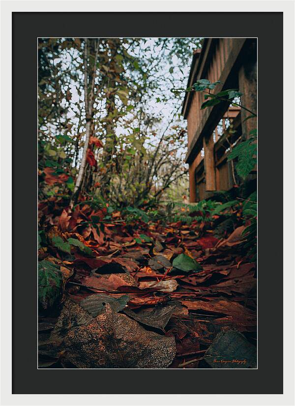 Autum leaves - Framed Print