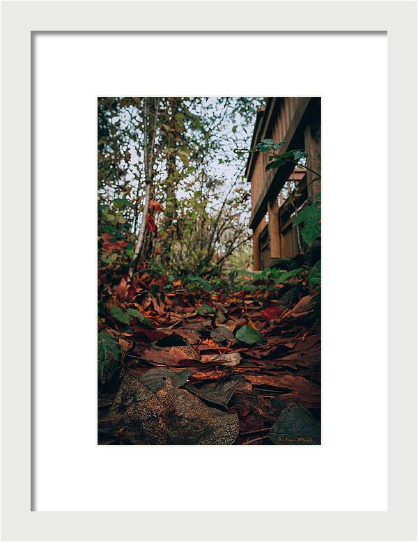 Autum leaves - Framed Print