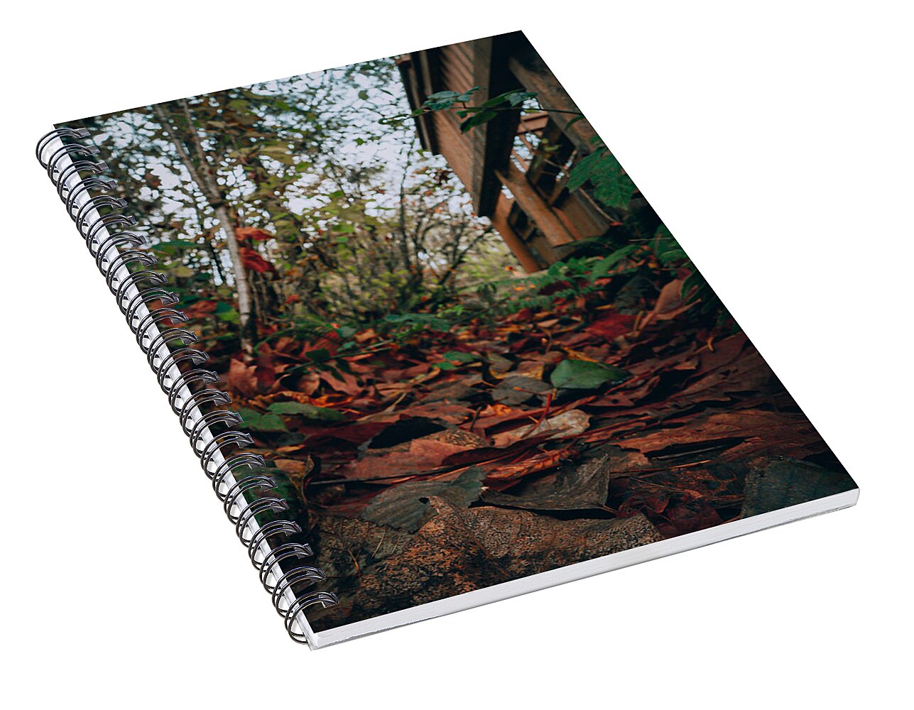Autum leaves - Spiral Notebook