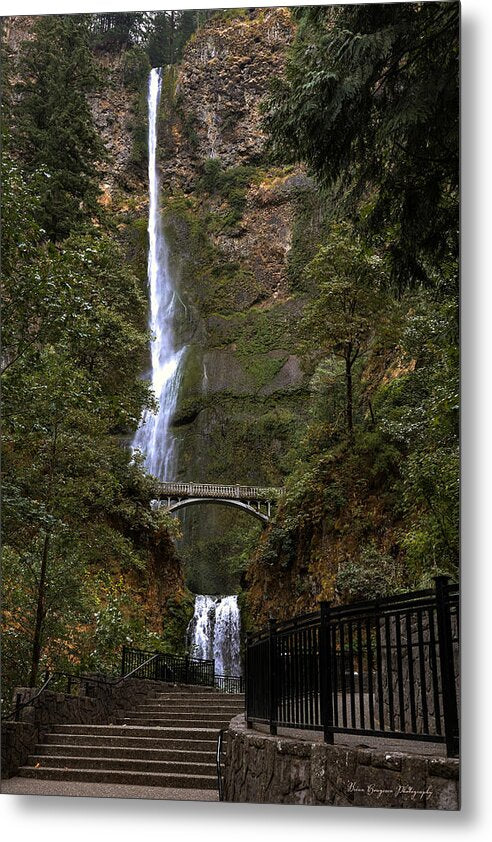 Different  view Multnomah Falls - Metal Print