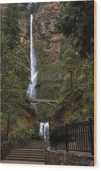 Different  view Multnomah Falls - Wood Print