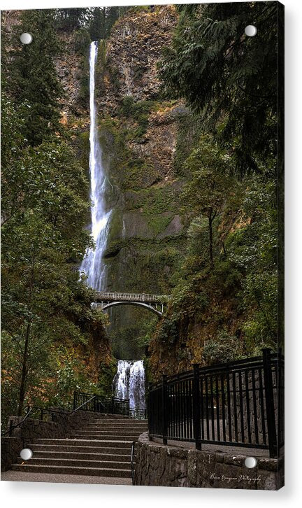 Different  view Multnomah Falls - Acrylic Print