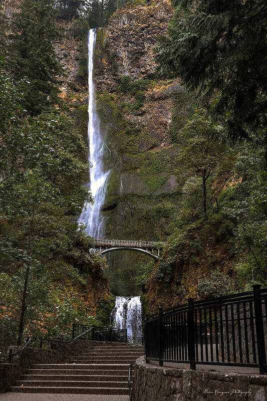 Different  view Multnomah Falls - Art Print