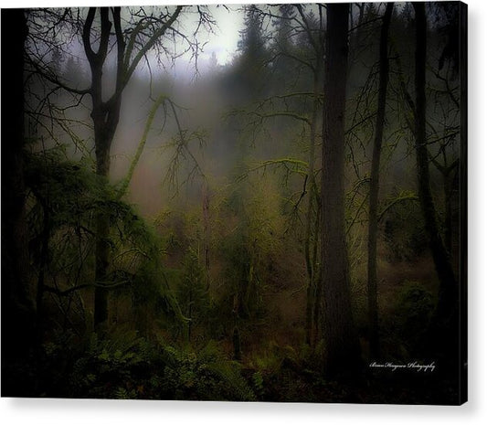 Fog - Acrylic Print