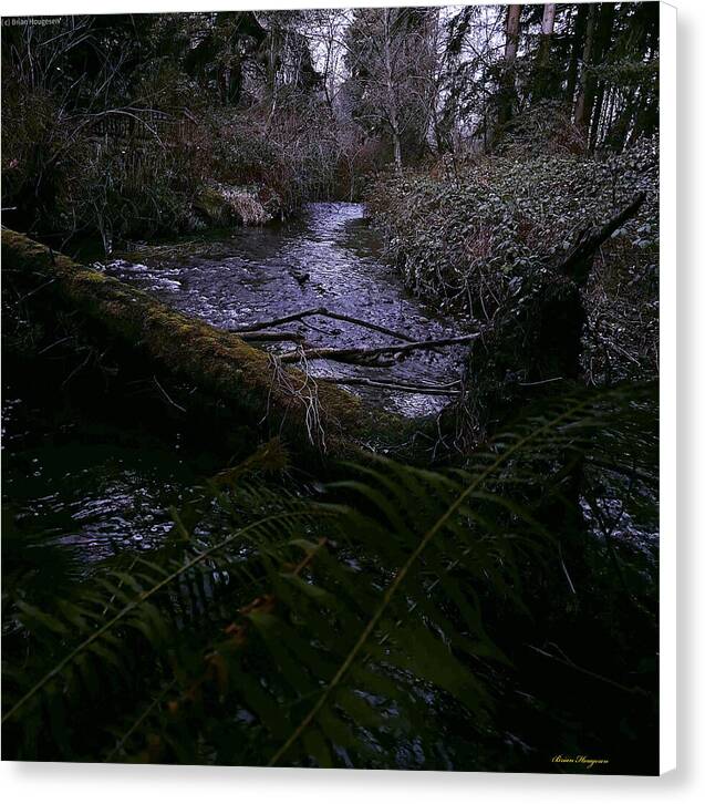 Moss-Covered Tranquil Stream - Canvas Print