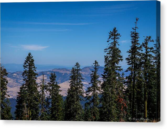 Mt Shasta 3 - Canvas Print