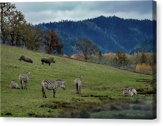 On the range - Canvas Print