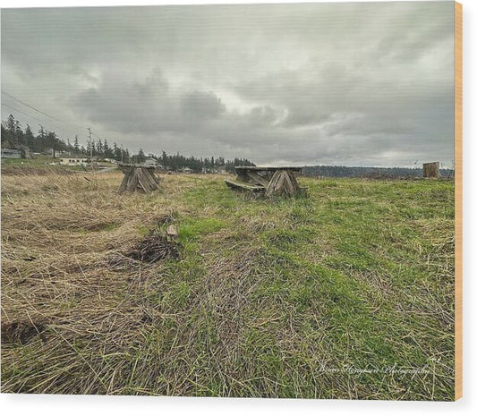 Park - Wood Print